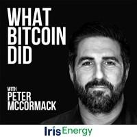 What Bitcoin Did