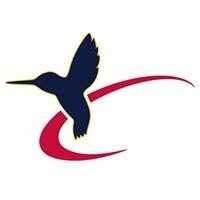 Vertical Flight Society