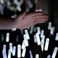 Studio Roosegaarde