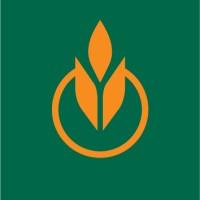 The Culinary Institute of America