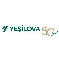 Yesilova Group