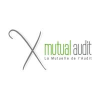 MUTUAL AUDIT