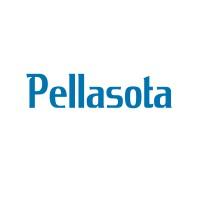 Pellasota Consulting