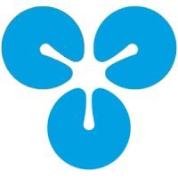 flow-r  executive search