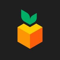 MANDARIN 