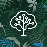 Brainforest