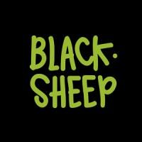 Blacksheep Van