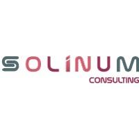 Solinum Consulting