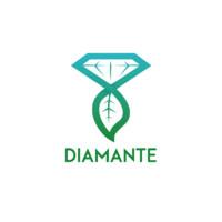 Diamante Società Benefit Srl