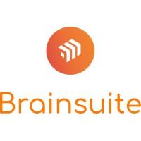 Brainsuite.ai