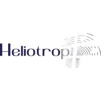 Heliotrop