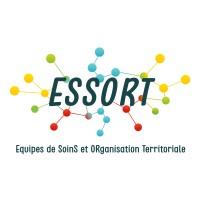 ESSORT (Equipes de SoinS et ORganisation Territoriale)