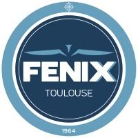 FENIX Toulouse Handball