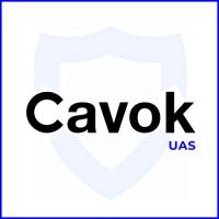 CAVOK UAS