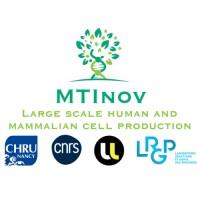 MTInov