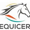 Equicer