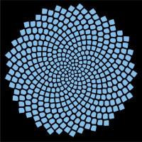 TuringDB Life Sciences (ex Turing Biosystems)