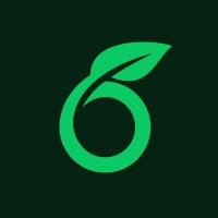 Overleaf