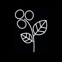 Spring Valley Coffee