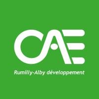 CAE-Comité d'Action Economique
