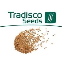 Tradisco Seeds Kft