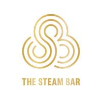 THE STEAM BAR