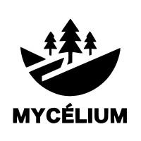 Mycélium
