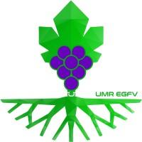UMR EGFV Bordeaux