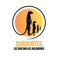 Suricates Les Sentinelles Solidaires