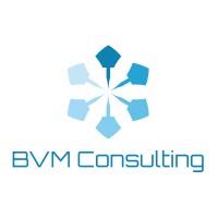 BVM Consulting, LLC