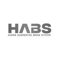 HABS - Human Augmented Brain System