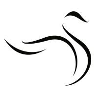 Black Swan Analysis