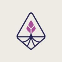 Digitanie, terroir numérique