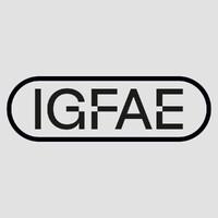 Instituto Galego de Física de Altas Enerxías (IGFAE) 