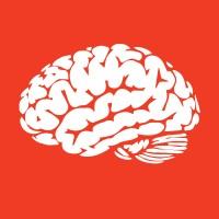 BRAINCITIES LAB ®