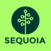 Sequoia