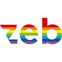 zeb consulting