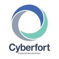 Cyberfort