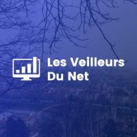 Les Veilleurs Du Net - Webmarketing & E-business