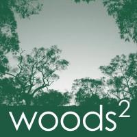 Woods Squared