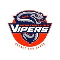 Vipers Montpellier - Métropole Hockey Club
